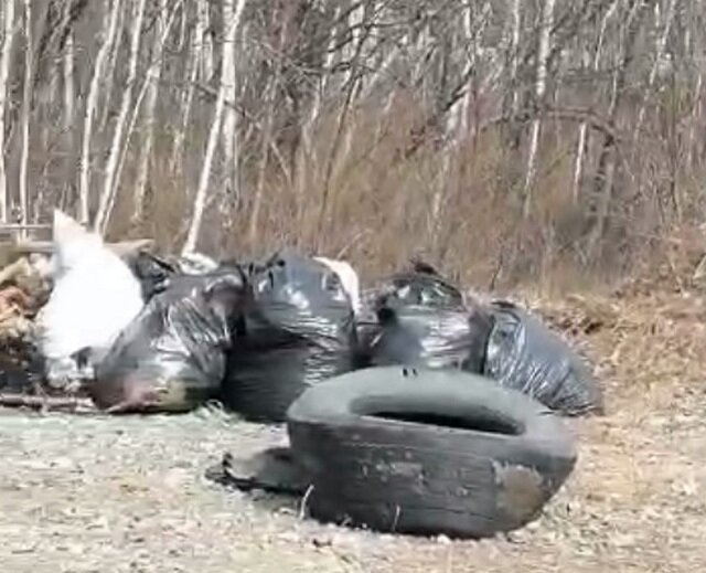    Фото: личный архив/ Владимир