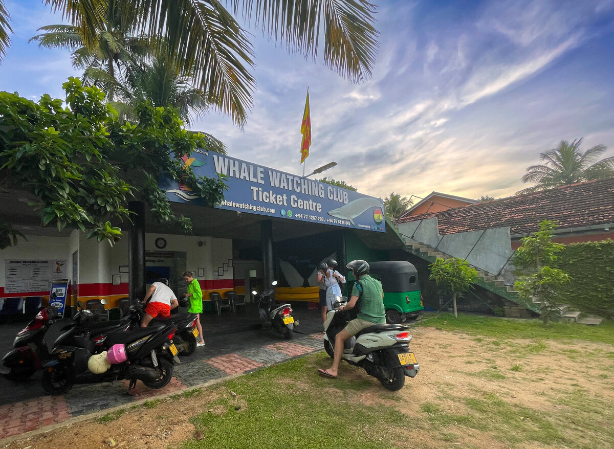 Фото автора. Офис компании Whale Watching Club