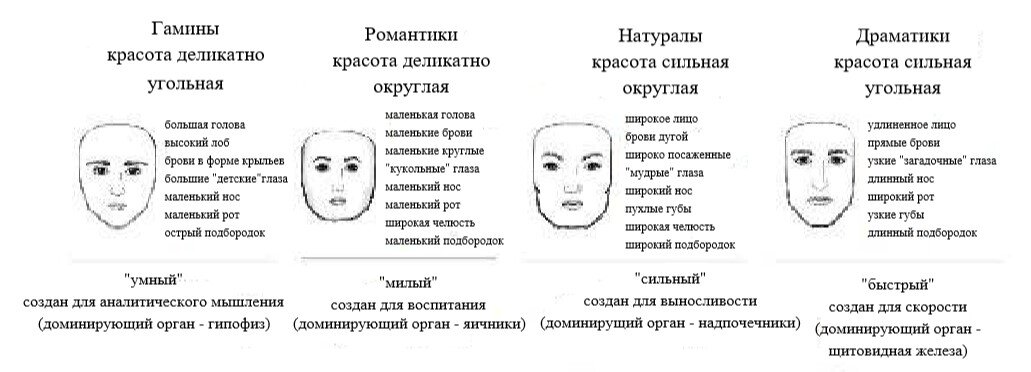 Гамин типаж внешности описание и картинки