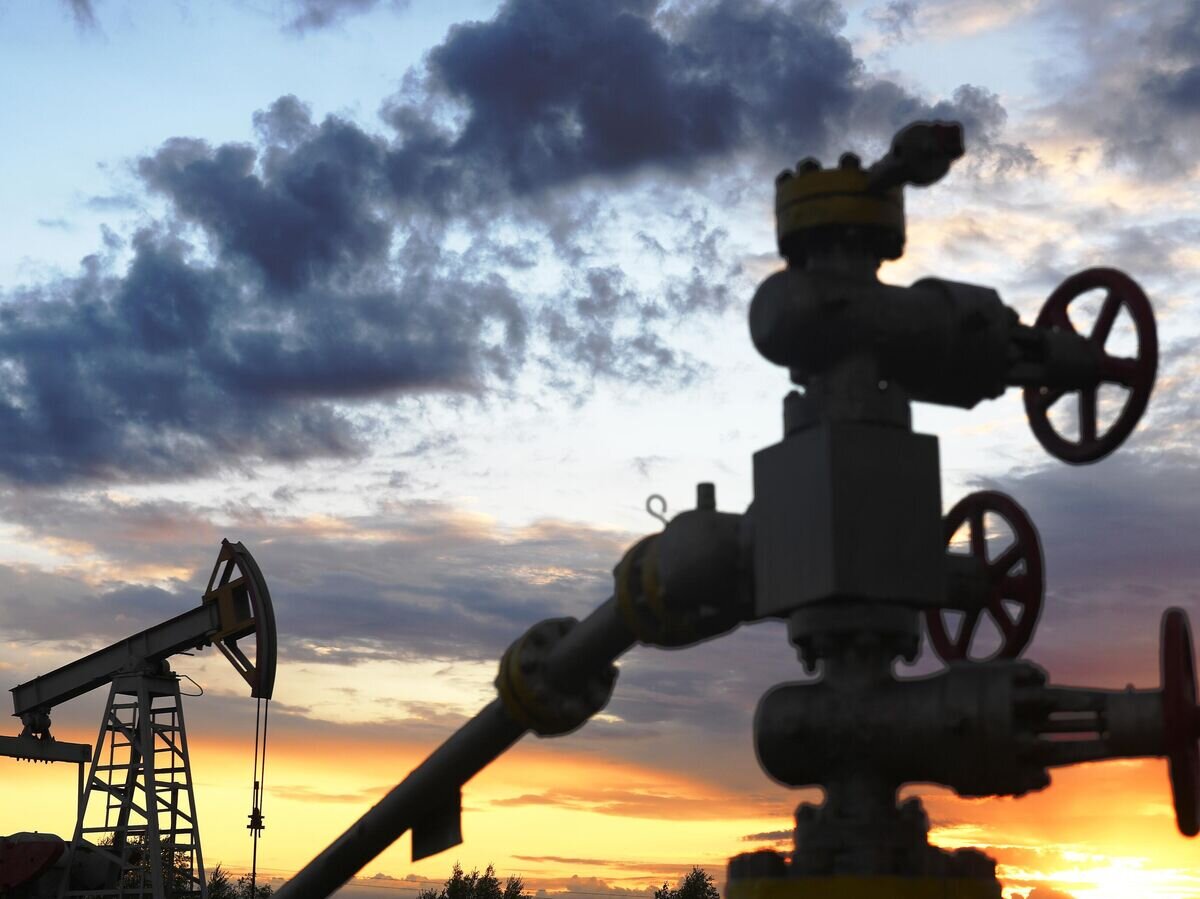   Нефтяная качалка© РИА Новости / Максим Богодвид