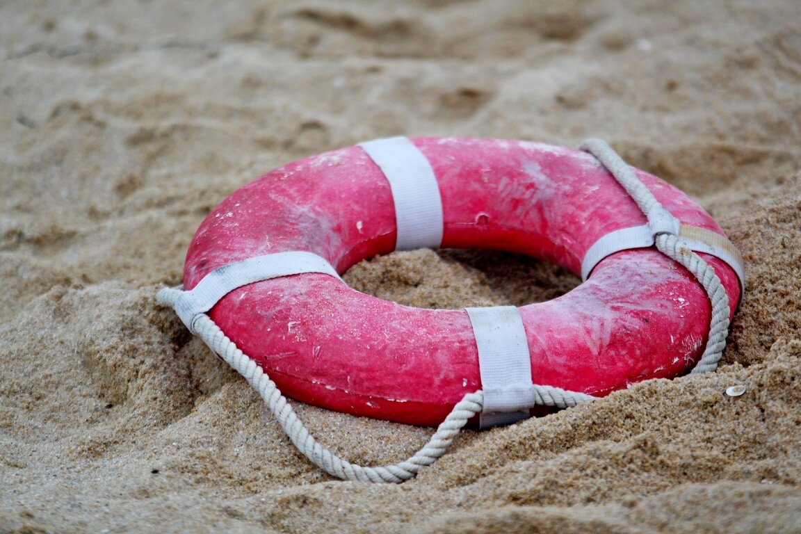    Фото: pixabay.com