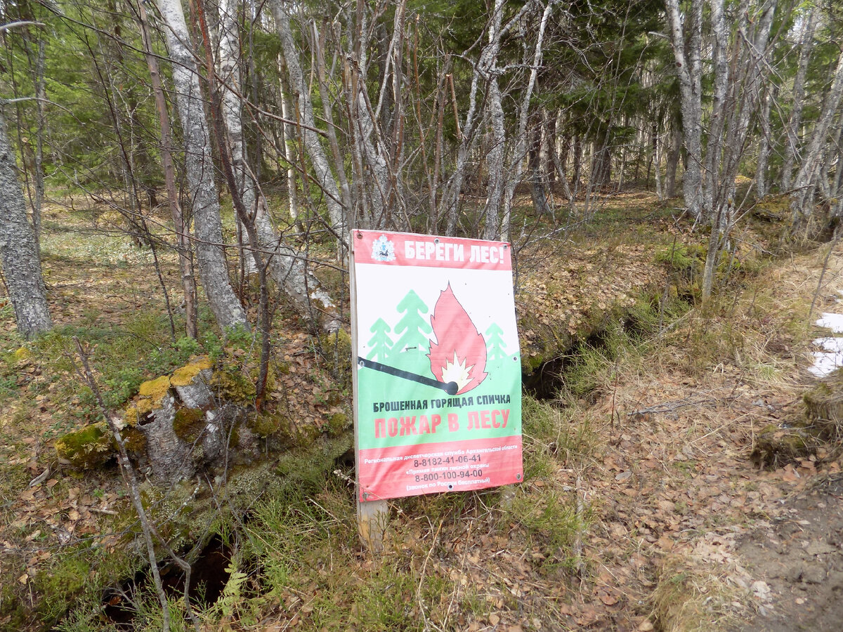 Строгий аншлаг.