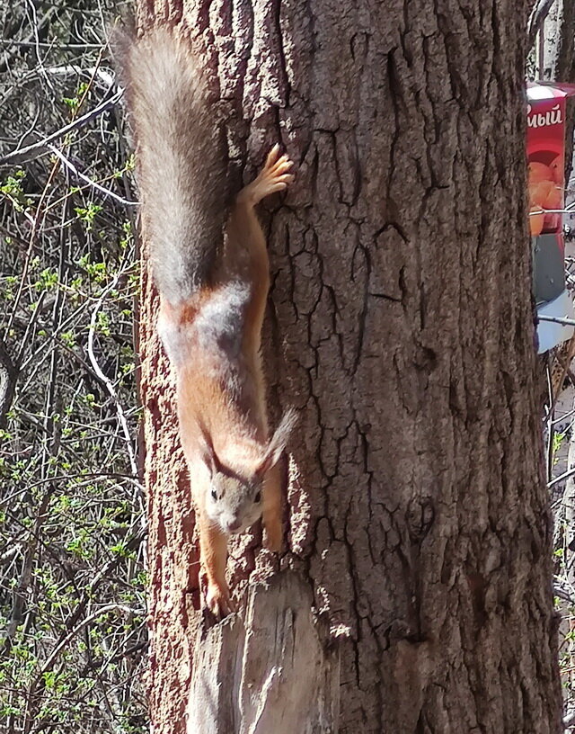 Автор фотографии - Наталья Кочнева