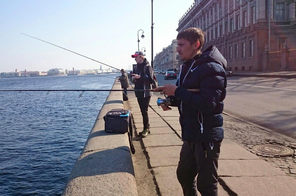На что ловят рыбу в неве