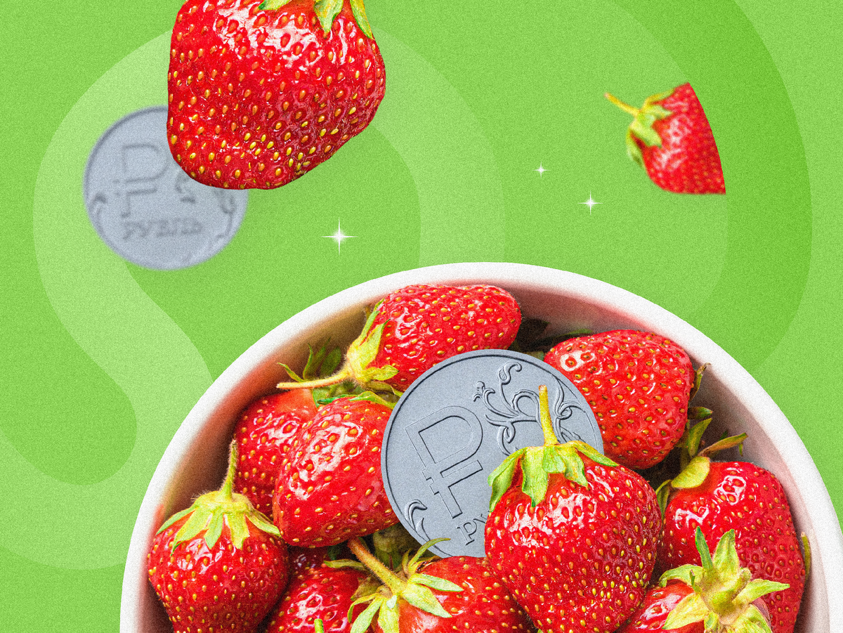 «Урожай, который кормит»: что дешевле в 2023 году — купить или вырастить?