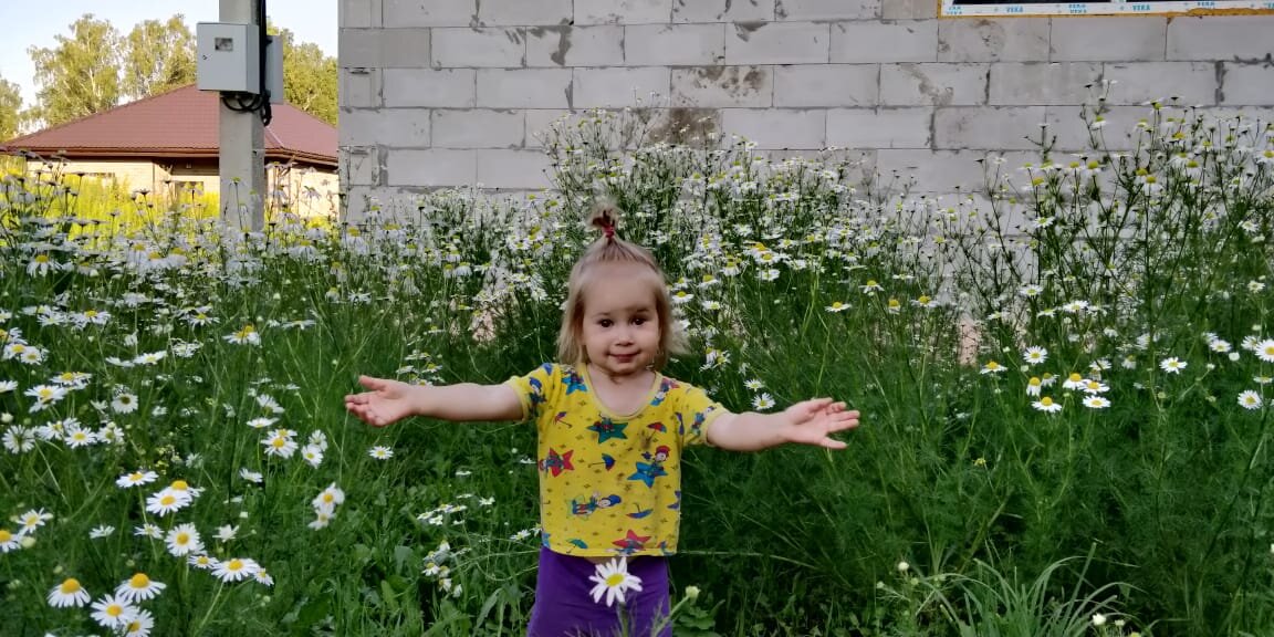 На краю участка поле ромашек