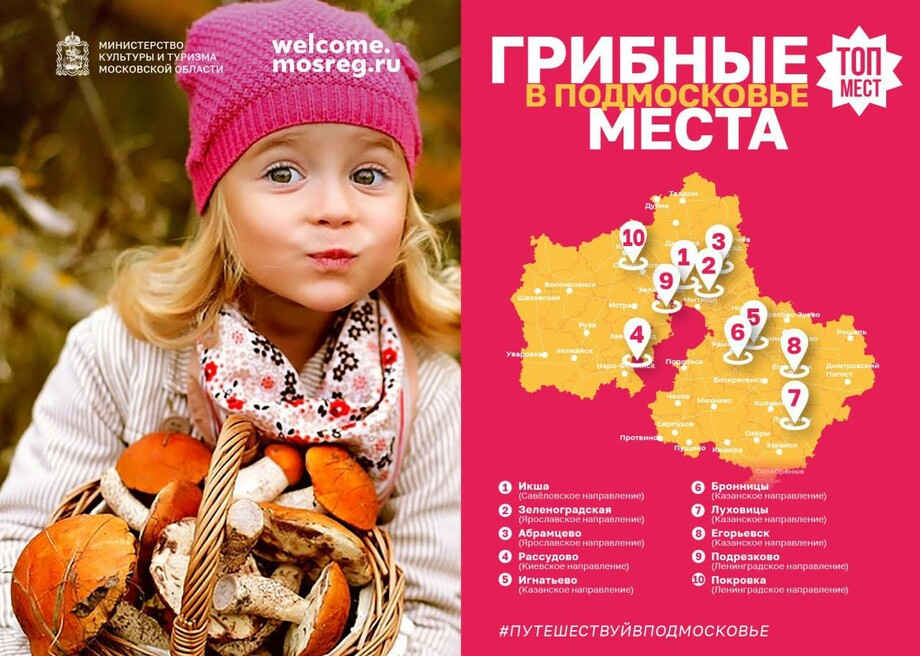 Где собирать грибы в 2024 году. Грибные места в Подмосковье. Грибные места Подмосковья на карте. Грибная карта Подмосковья. Карта грибника Подмосковья