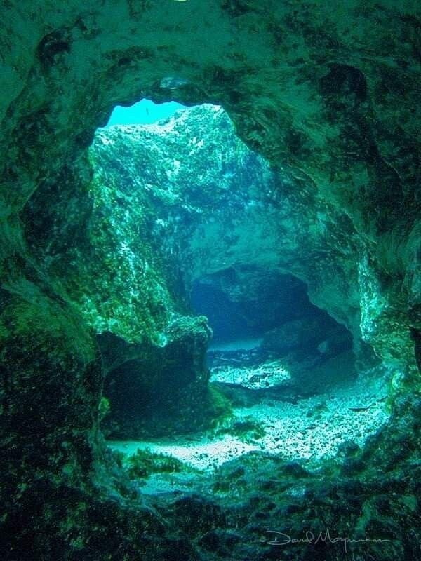 Sisters springs. Бирюзовая природа. Бирюза в природе фото. Underwater aesthetic.