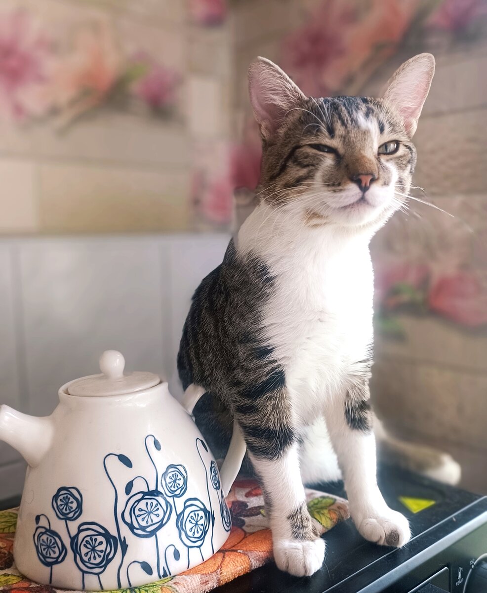 Финансовый гений Букашкин Арсений советует: начните с малого 😎