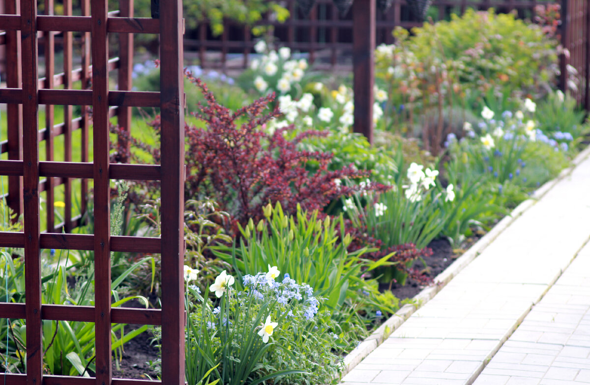 2. В галерее 5 фото, листайте