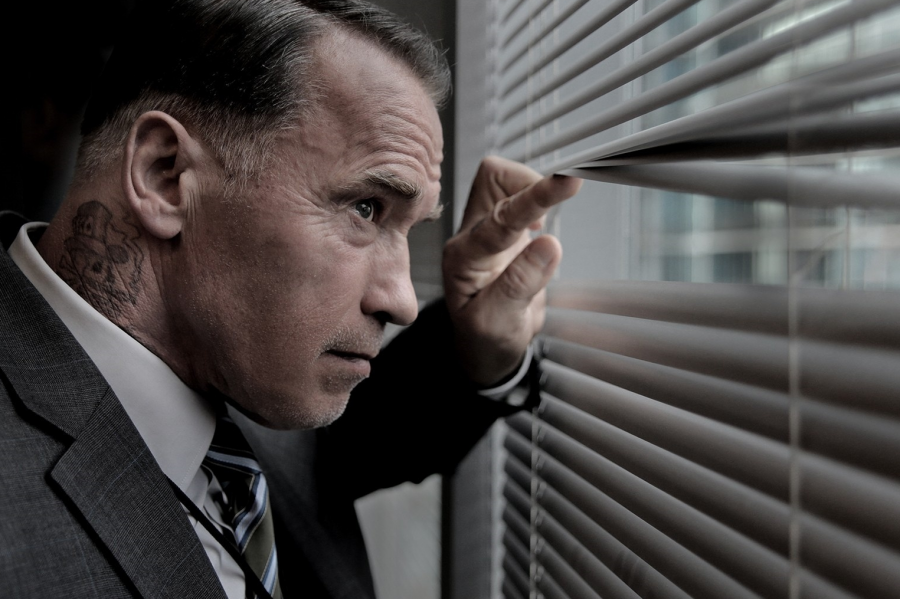     «Я видел, как у людей отказывали почки»: Шварценеггер признался, что употреблял стероиды в молодости