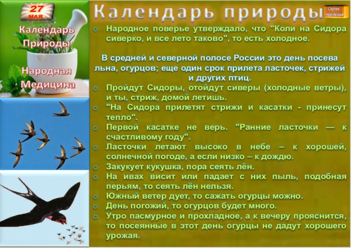 27 мая - Традиции, приметы, обычаи и ритуалы дня. Все праздники дня во всех  календарях | Сергей Чарковский Все праздники | Дзен