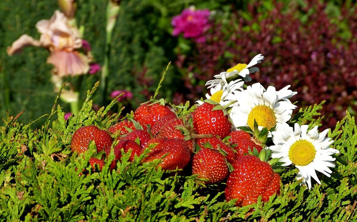 Фото из сети