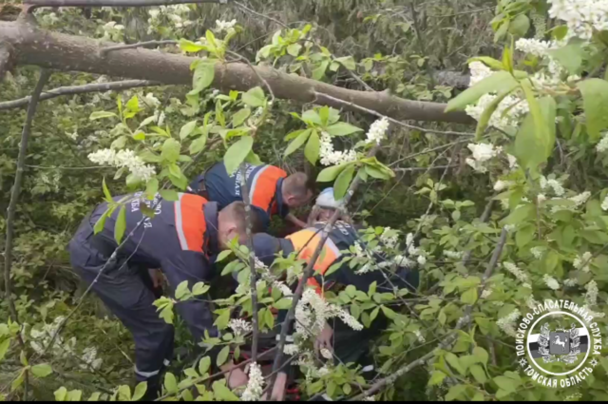    Опубликовано видео спасения 70-летней пропавшей женщины из томского села