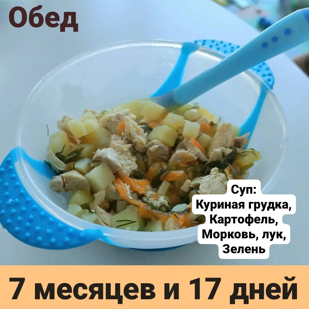 Пример тарелки в 7 месяцев 