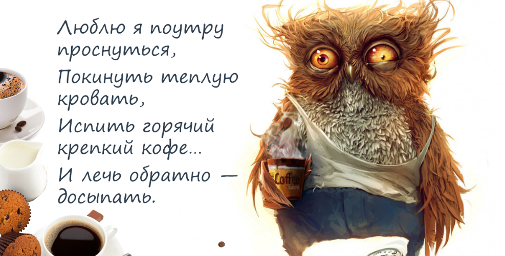 Невыспавшаяся сова картинки