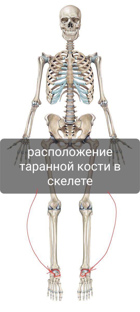 Лечение вертикального тарана