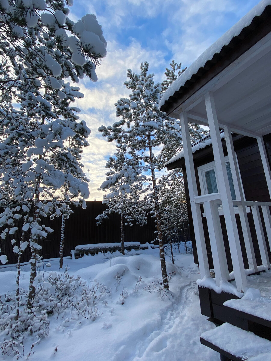 Вокруг дома было много сосен