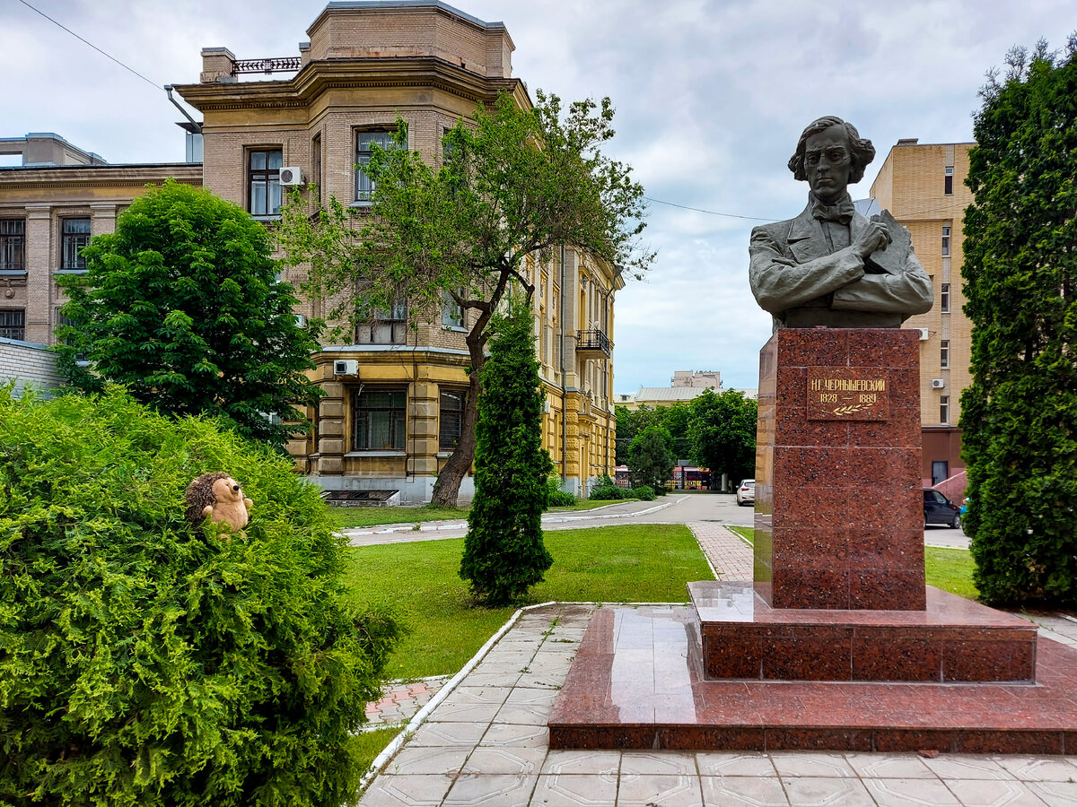 Ёжик гулял между корпусами и остановился у памятника им. Н.Г.Чернышевского