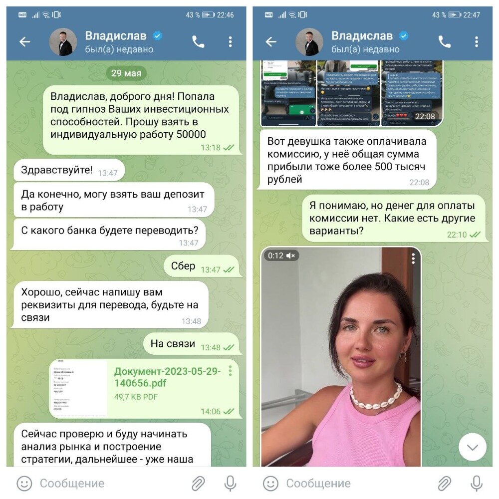 Как людей разводят в Telegram фейковые инвесторы. Реальная история |  Свинкины финансы | Дзен