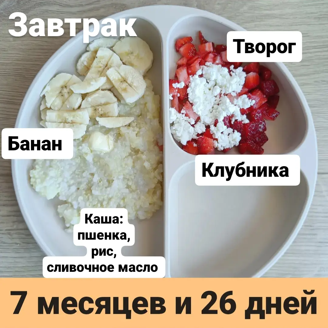 Прикорм. Тарелка 7 месяцев и 26 дней. Завтрак. | В поисках дома ❤️ Вьетнам  🇻🇳 Нячанг | Дзен