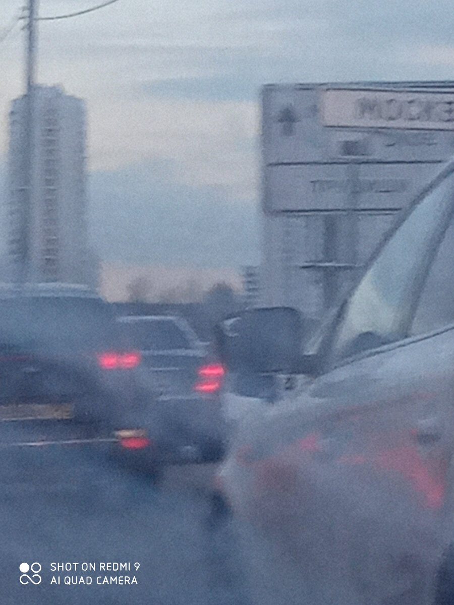 Личное фото автора. 