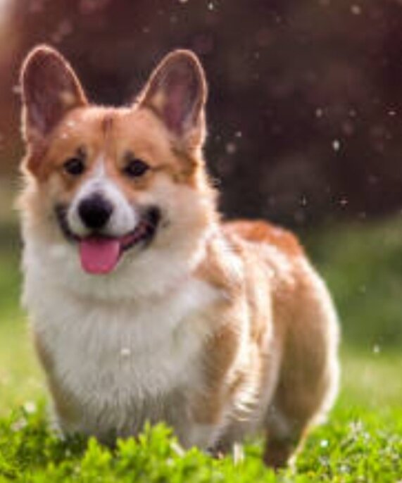 Фото из свободного доступа в интернете 