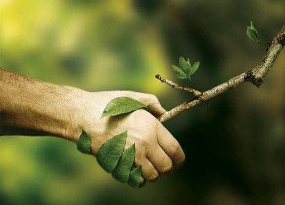 🌱 Сегодня день эколога 

Первым экологом в мировой истории считают философа Аристотеля, так как он начал классифицировать животных в своих трудах.

Однако отцом экологии называют немецкого исследователя барона Александра фон Гумбольдта. Он первым попытался установить законы взаимодействия в окружающей среде.