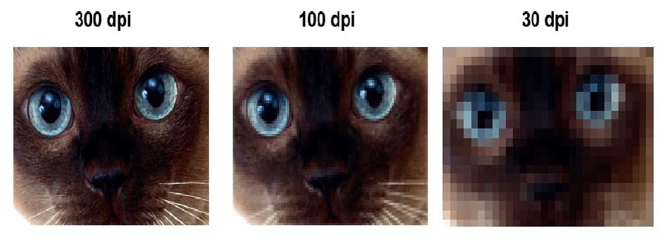 Источник: https://bookvary.ru/wp-content/uploads/Razreshajushhaya-sposobnost-DPI.jpg