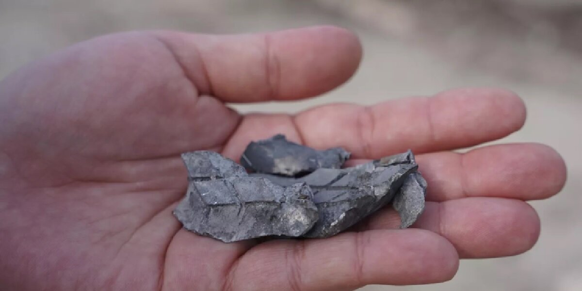 Фото: RT (https://mf.b37mrtl.ru/russian/images/2023.05/article/645a4e41ae5ac962c81d0e3c.png)