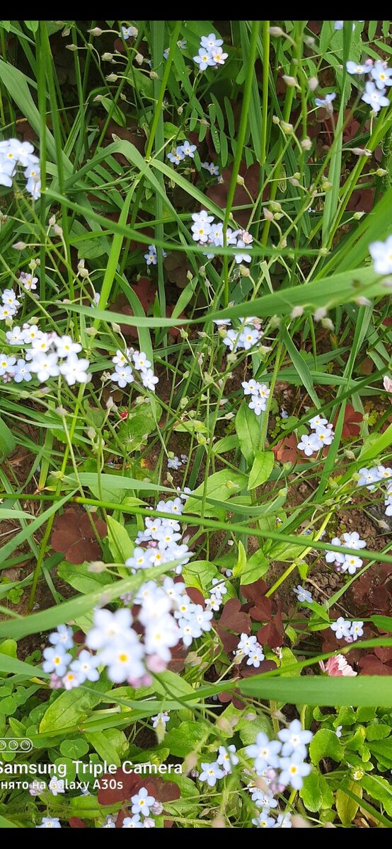 Фото автора .