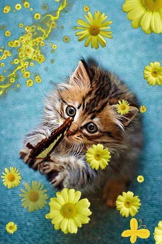 Источник: Яндекс картинки