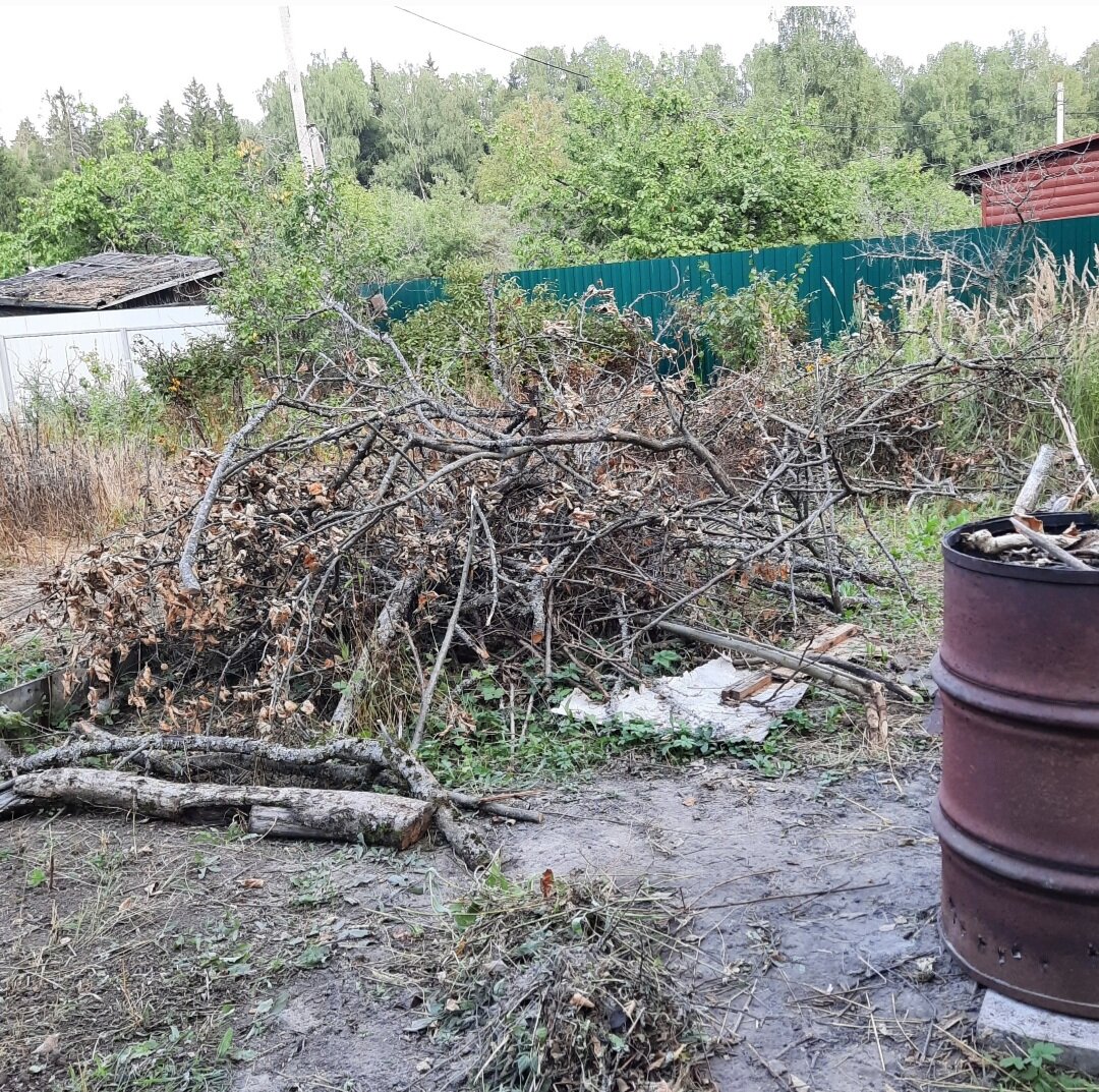 Фото из личного архива 