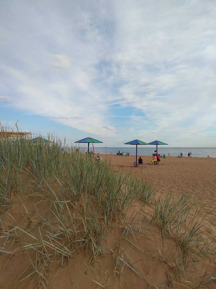 Комарово. Фотографии автора