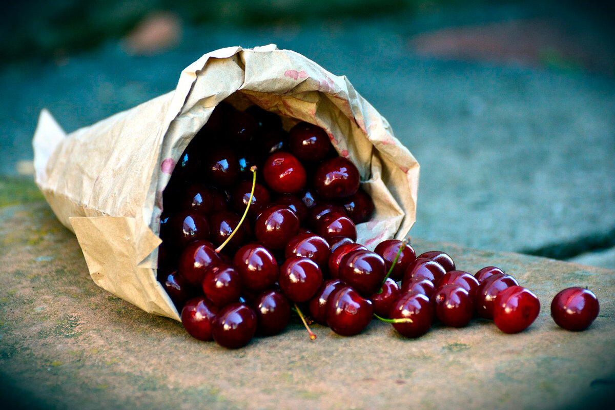    Изображение носит иллюстративный характер. Фото: congerdesign / Pixabay.com