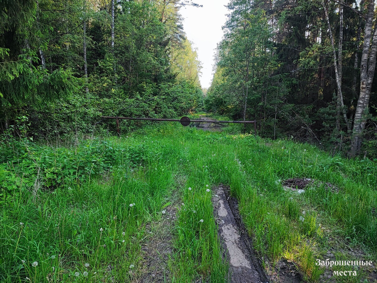 Пионерский лагерь Хрустали. Калужская область. Фото автора. 