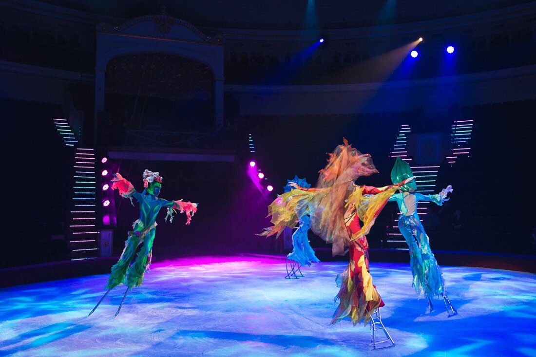 опера-гала спб. балет феерия щелкунчик. рождественская сказка в мариинске. рождественская сказка в мариинском театре. опера рождественская сказка в мариинском театре.