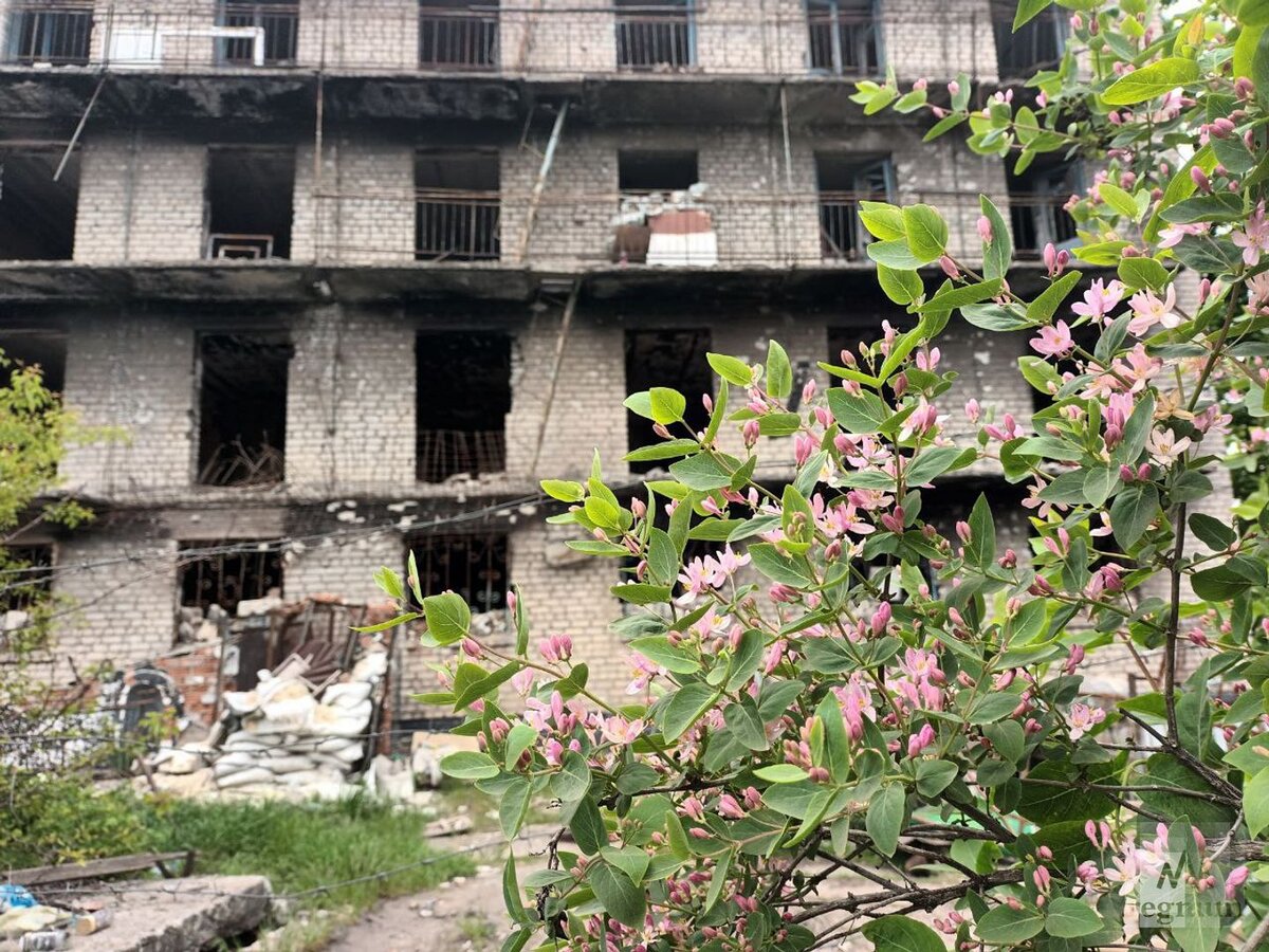    Весна в разбитой Попасной Виктория Толкачева © ИА REGNUM