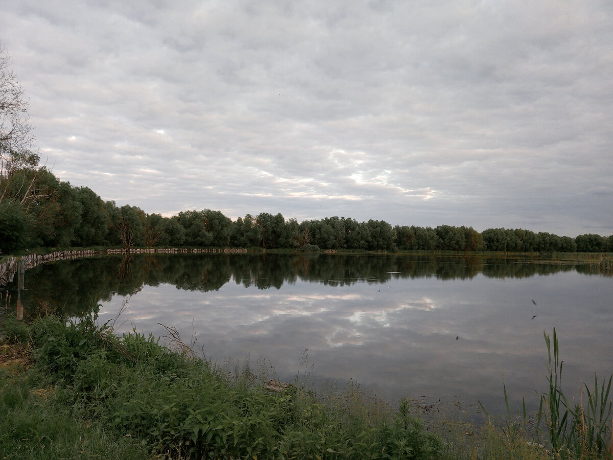 Фото автора. Чириково. Ульяновская область.