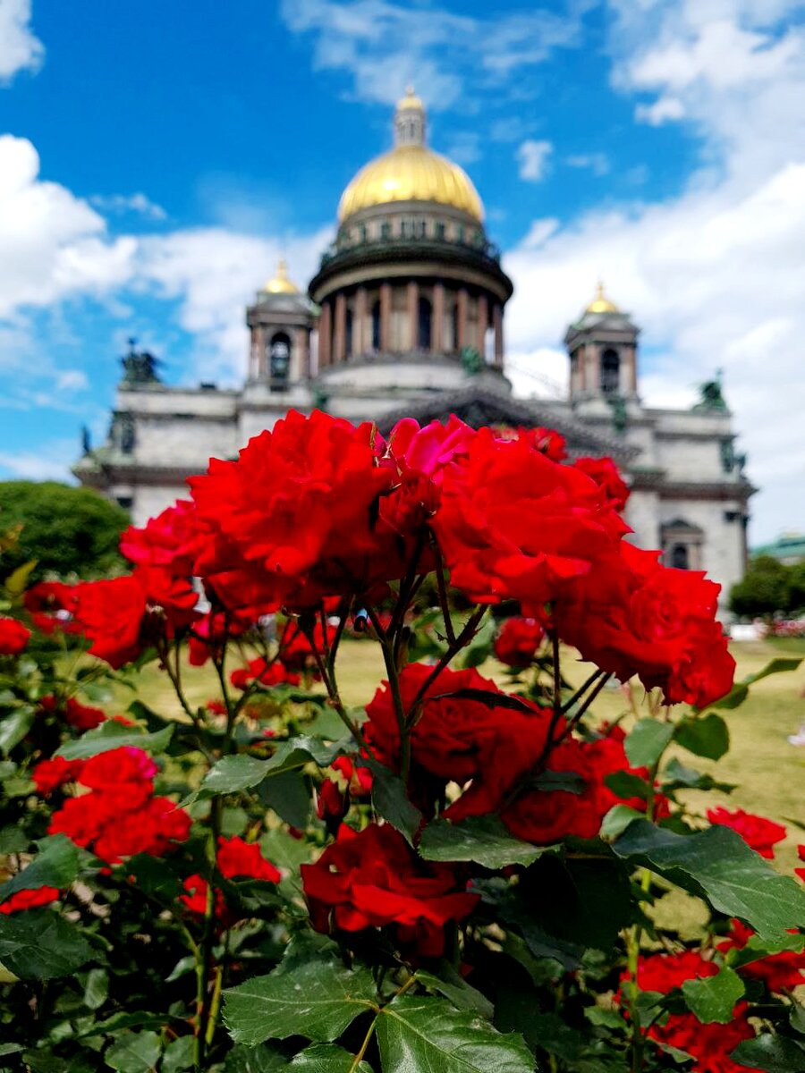 Нереально красивый Исаакиевский собор.