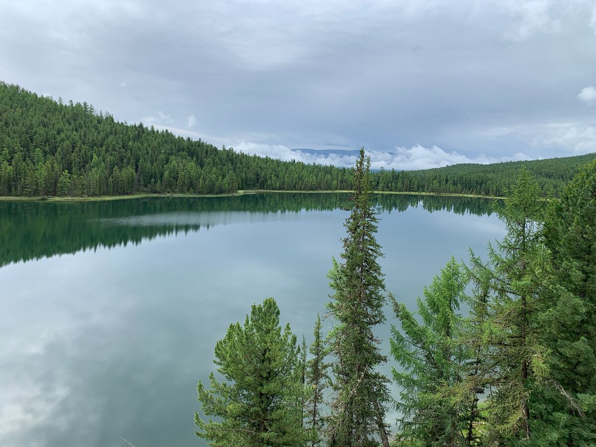 северный алтай. северный алтай. северный алтай. северный алтай. северный чуйский хребет.