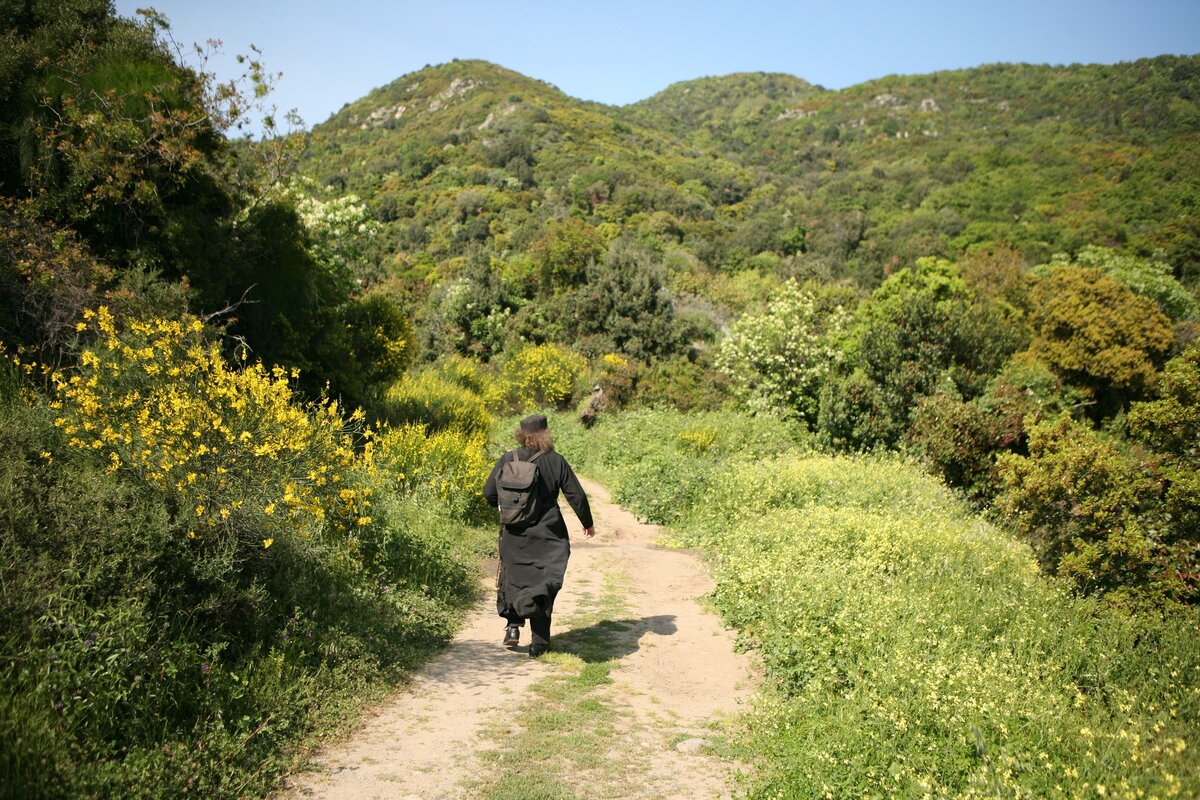 фото из открытого доступного источника сети интернет