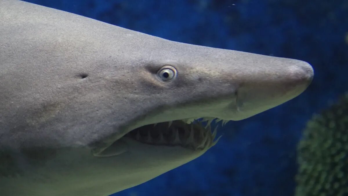 Фото: pxhere.com