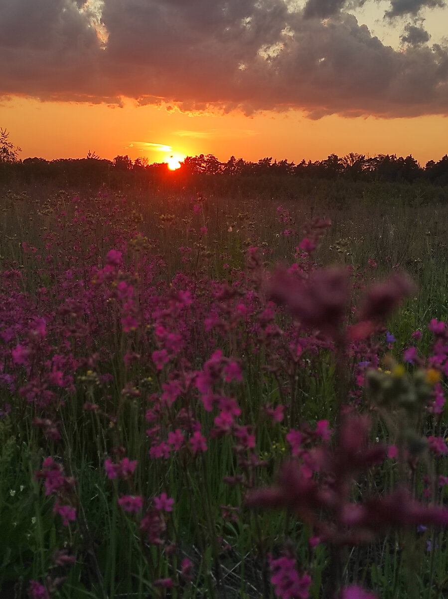 Можно ли успеть написать закат? Кто постоянно пишет с натуры замечал, что время для работы самое удобное это с 10 до 15.00, потом освещение заметно меняется, а  время ускоряется. Поэтому важно решить что ты хочешь от пленера красочных утренних или вечерних пейзажей или не таких красочных дневных.