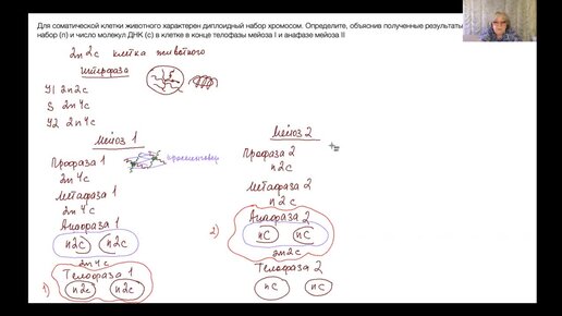 Готовимся к ЕГЭ по биологии! 28 задание, задача 3 (