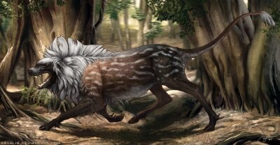 Крокотта во всей красе. Изображение из открытых источников