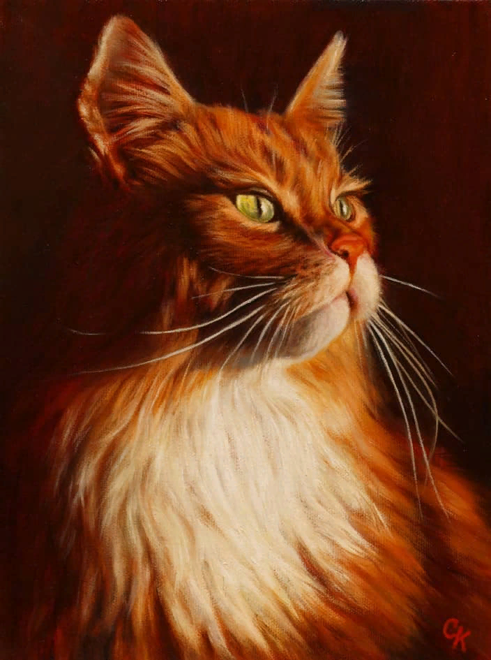 �������� ���������. ��� �����������