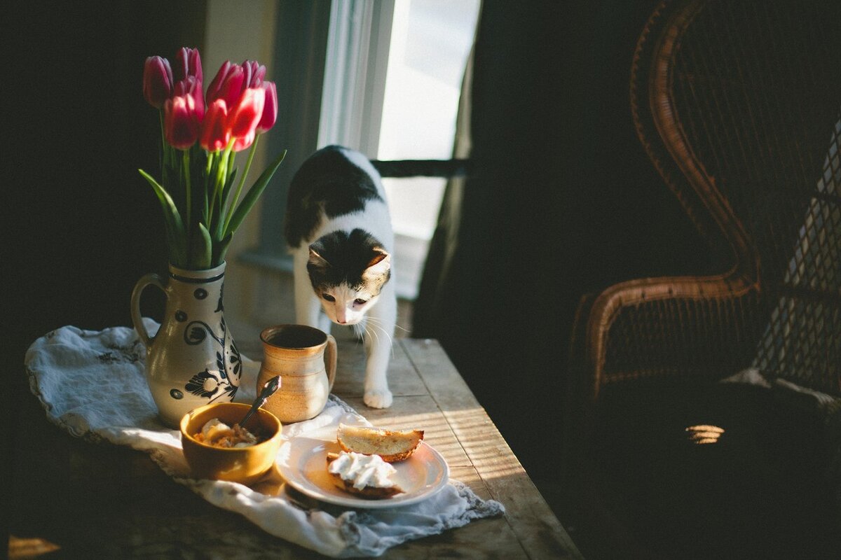 источник фото: https://sun9-55.userapi.com/impg/jmVJRypMYwIs1j4-D2KWapzfD-fmLAhLGGViFA/A_lnlrIN4c0.jpg?size=1280x853&quality=95&sign=6deab797467babcccc68d57b4de6007b&type=album