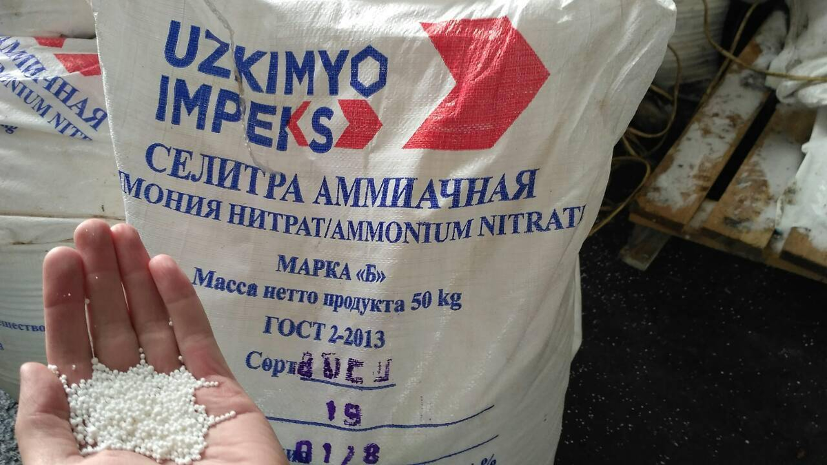Фотография взята из источника yandex.ru