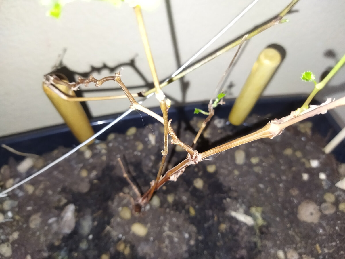 Фото из личного архива автора.